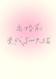 离婚前变成了一只猫免费阅读