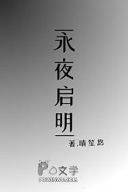 永夜启明作者晴笙悠