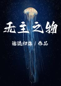 无主之物的归属
