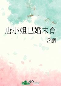 唐小姐已婚未育内容