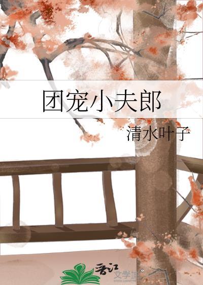 团宠小夫郎清水叶子