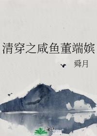 清穿之咸鱼董端嫔详细书评