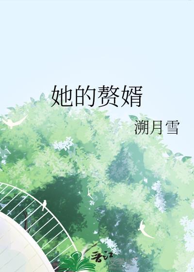 电视剧赘婿的女主角