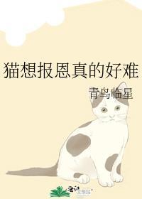 娱乐圈失控百度