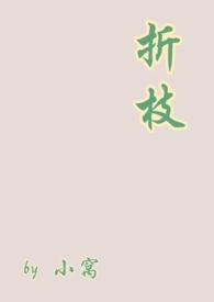 折枝未删减