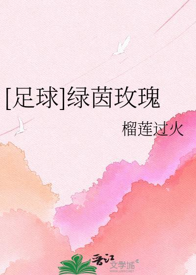 足球绿茵玫瑰全本TXT
