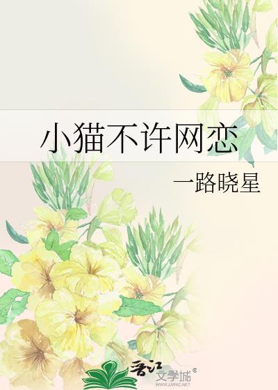 猫不能上网