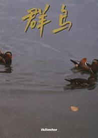 群鸟飞是什么现象