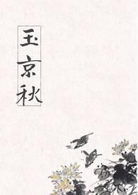 玉京秋颂南