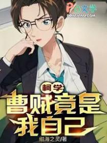 曹贼是什么人