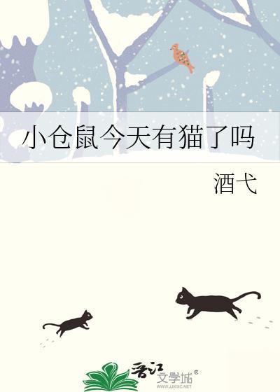 小仓鼠今天有猫了吗视频