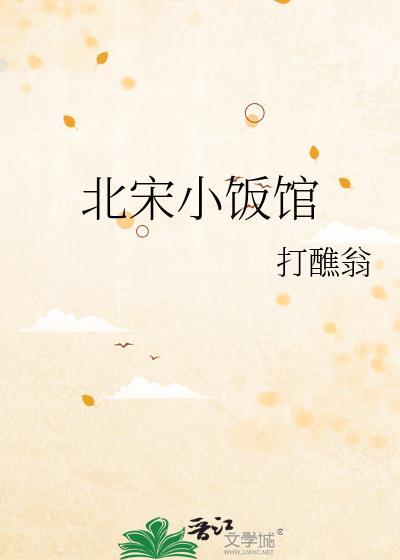 北宋小厨师简介