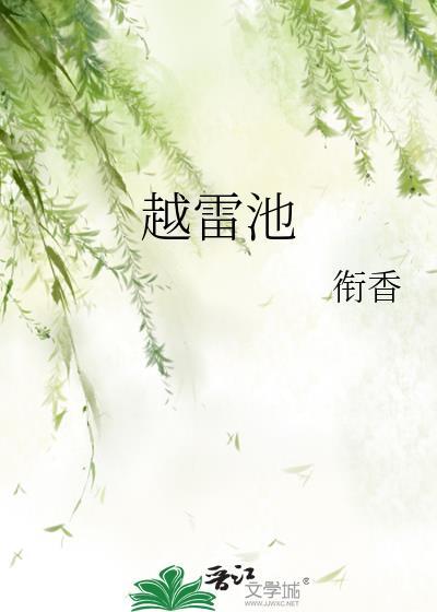 不敢越雷池