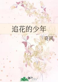 追逐的少年什么意思
