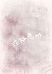危桥限高标准
