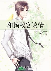 和揍敌客谈情87