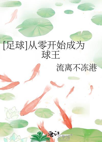 从零开始的足球生涯全文阅读