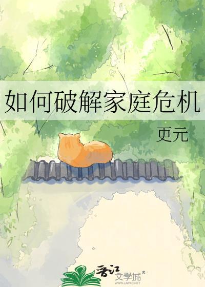 如何破解家庭危机番外篇