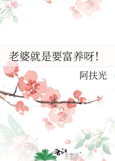老婆就是要富养呀免费阅读全文