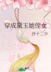穿成黛玉她侄女 沙十二少