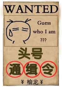 头号通缉令无限流全文免费阅读