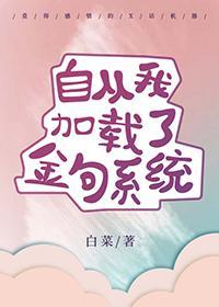 自从我加载了金句系统章节目录