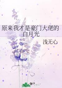 原来我才是豪门大佬的白月光 浅无心