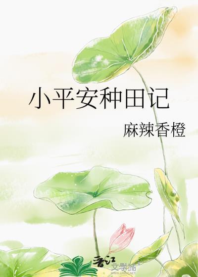 小平安种田记百度