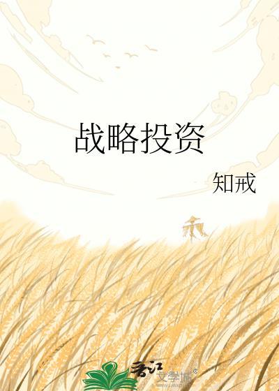战略投资和融资的区别