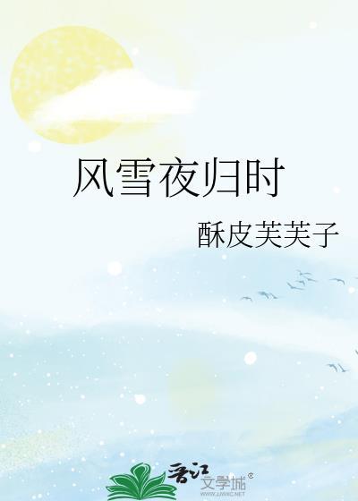 风雪夜归时TXT