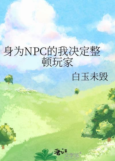 身为npc的我决定整顿玩家笔趣阁