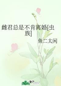 先生总是不肯离婚讲的什么
