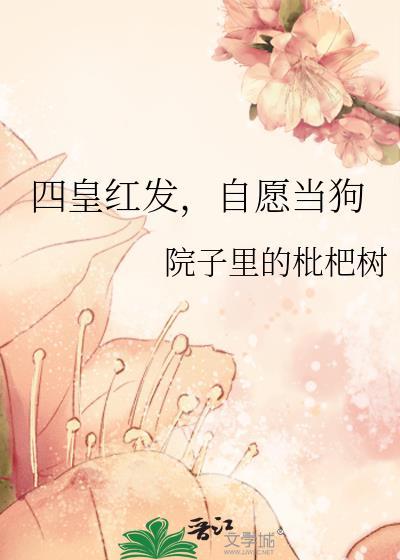 四皇红发有没有领地