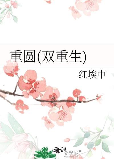 重圆(双重生)书评