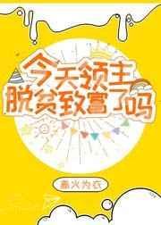领主今天不在家无防盗