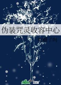 伪装咒灵收容中心笔趣阁