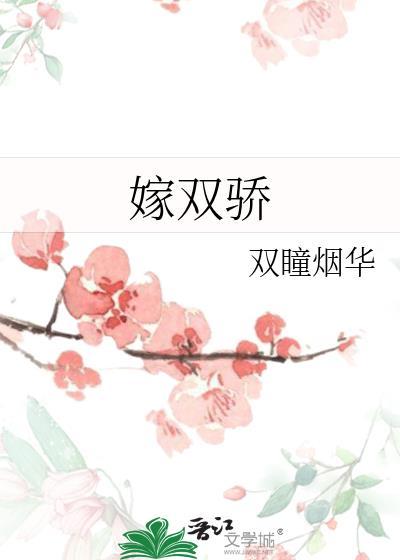 嫁双骄讲的什么