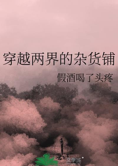 穿越两界的杂货铺讲的什么