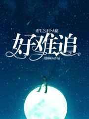 重生之这个大佬好难追晋江