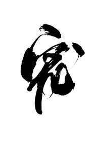 白月光失忆后成了我影卫大结局