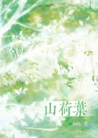 山荷叶花语和传说