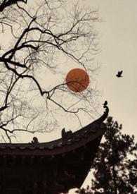 雀雀儿是什么