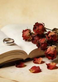 代驾平台app司机接单