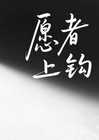 愿者上钩全文阅读完整版