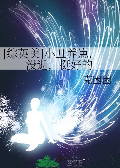 综英美之小丑的儿子