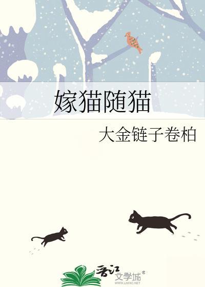 嫁猫随猫txt百度资源