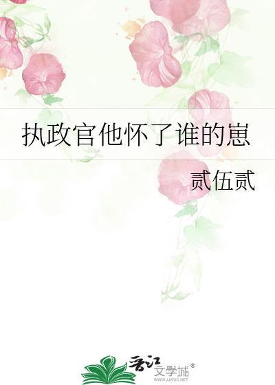 执政官他怀了谁的崽作者贰伍贰