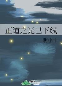 正道之光已下线gl笔趣阁免费阅读
