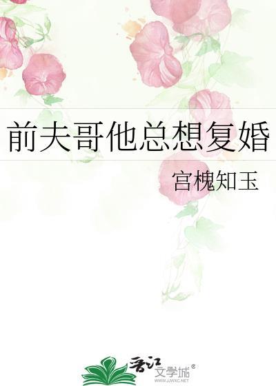 前夫哥他总想复婚by宫槐知玉txt