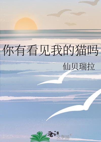 你有看见我的猫吗 仙贝瑞拉
